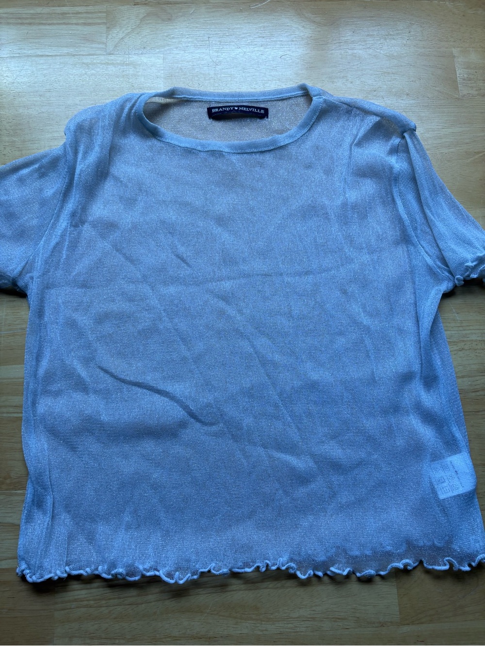 Brandy Melville Light Blue Sheer Short Sleeve Top